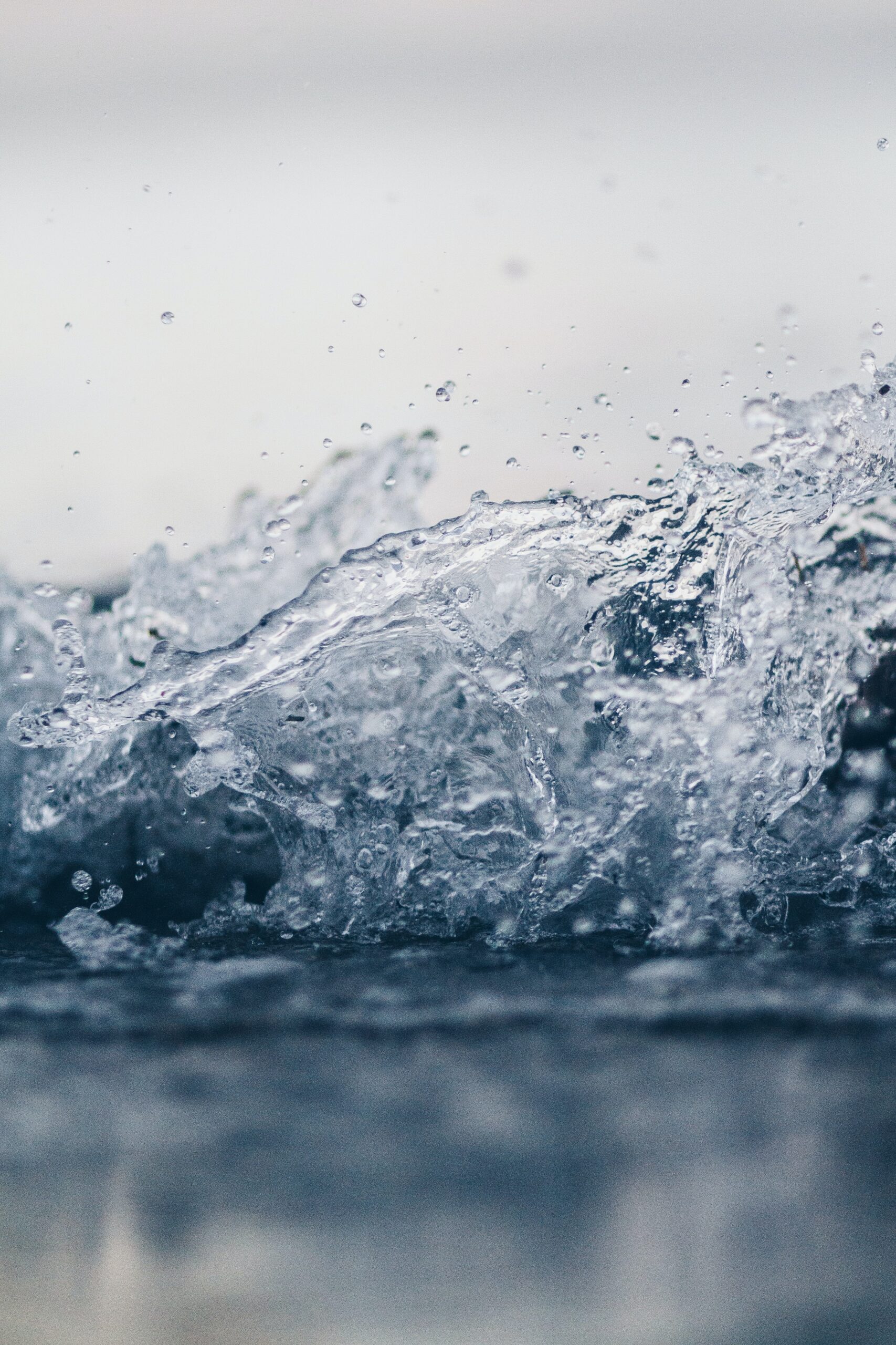 samara-doole-peaTniZsUQs-unsplash samara-doole-peaTniZsUQs-unsplash